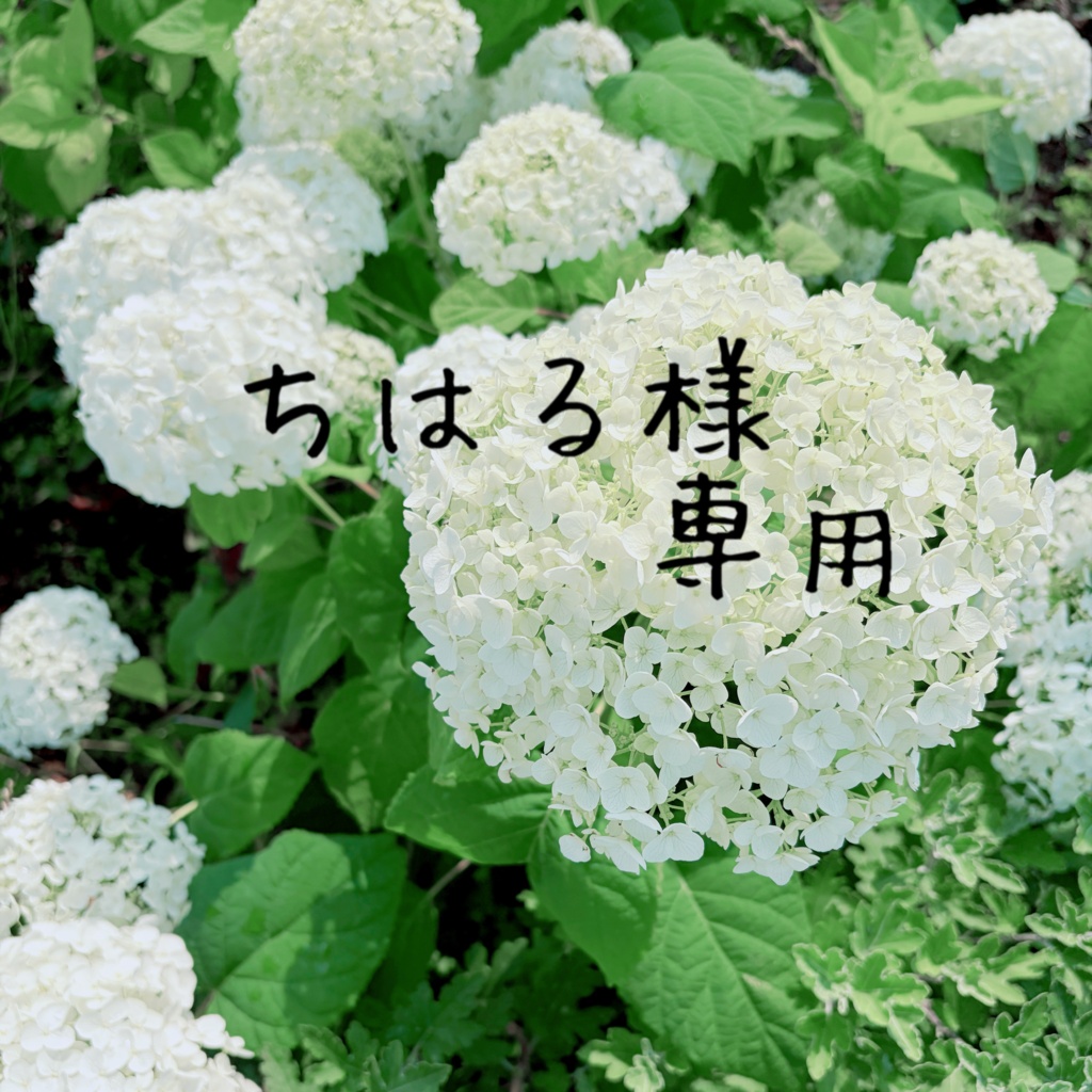 ちはる様専用