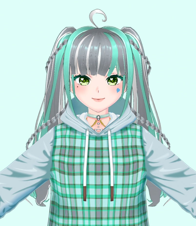 Spiral braided twin pig tail