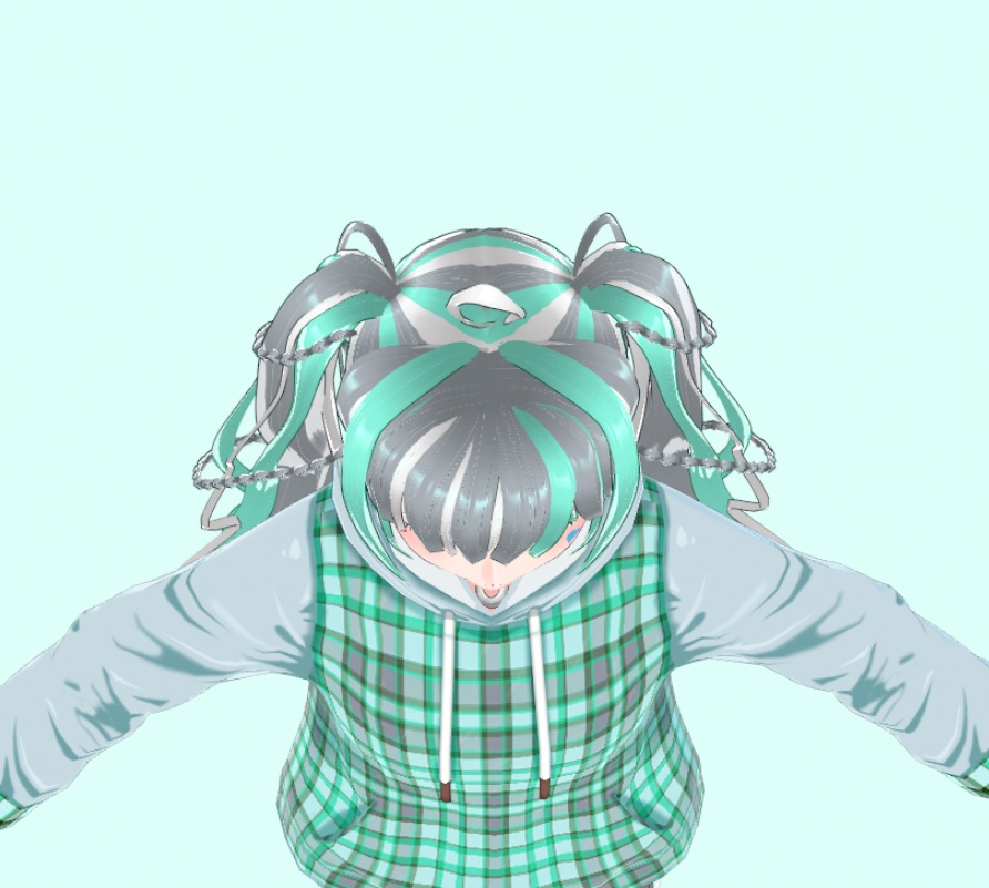 Spiral braided twin pig tail