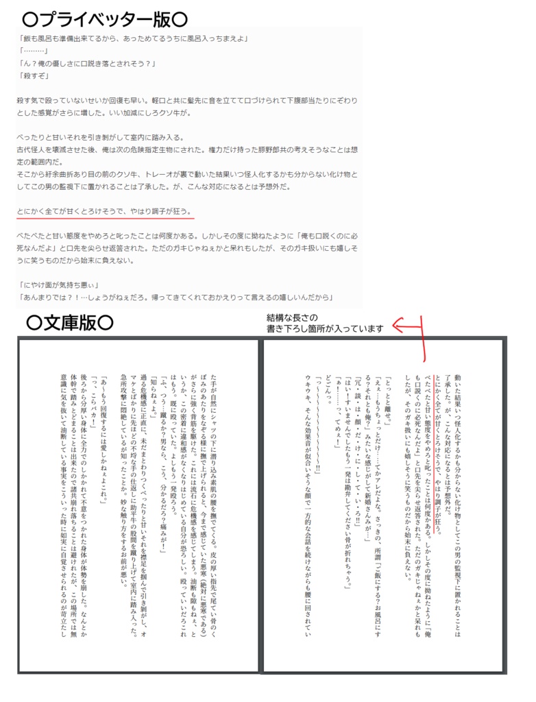 【受注生産】牛鳥十膳(オルミゴン×アンバル小説本)