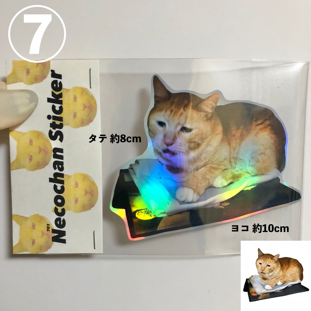 キラキラ猫ステッカー