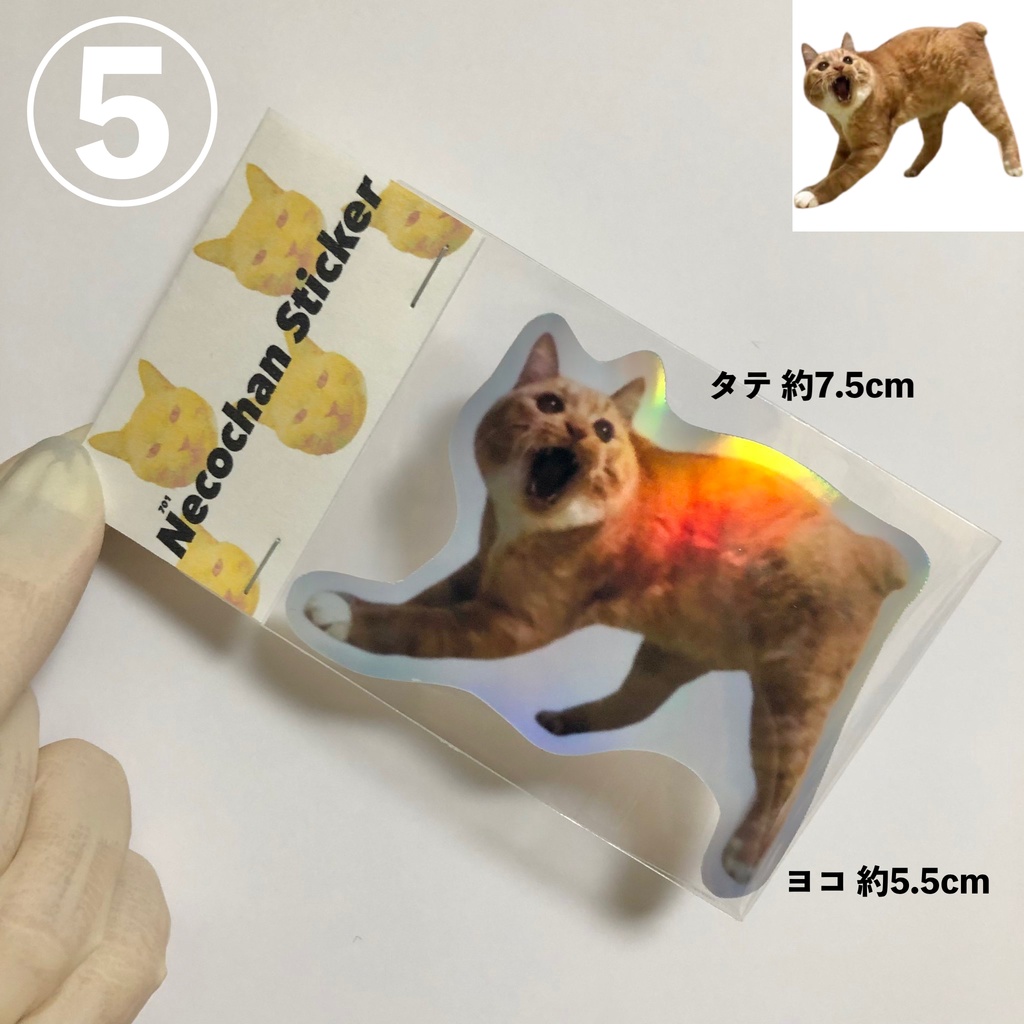 キラキラ猫ステッカー