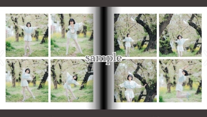 ミニフォトブック『桜の國のアリス』