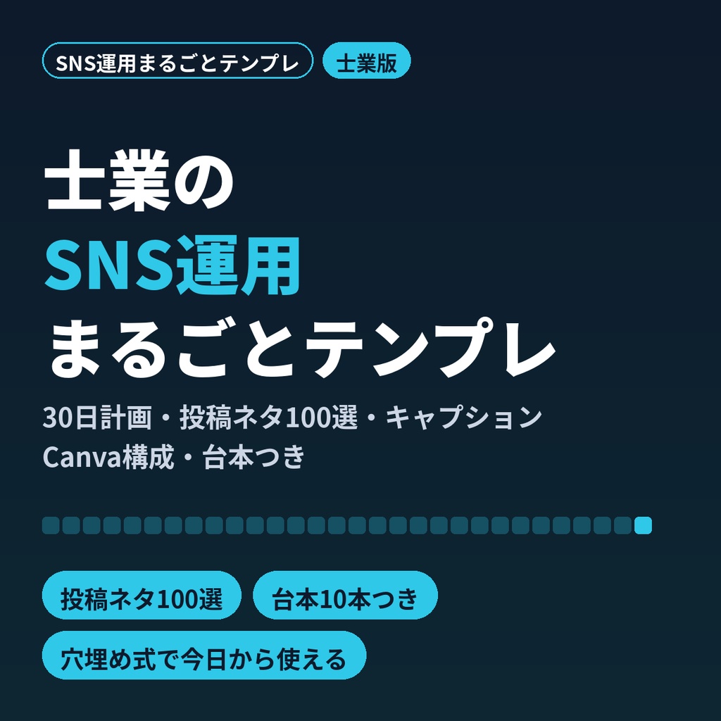 士業のSNS運用まるごとテンプレ｜30日計画・投稿ネタ100選・Canva構成