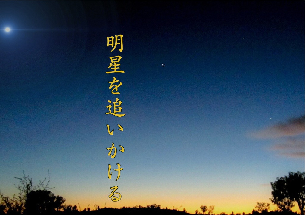 明星を追いかける