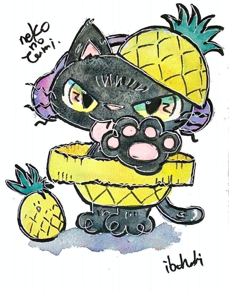 ねこのたみ夏休み福袋(くろねこ)