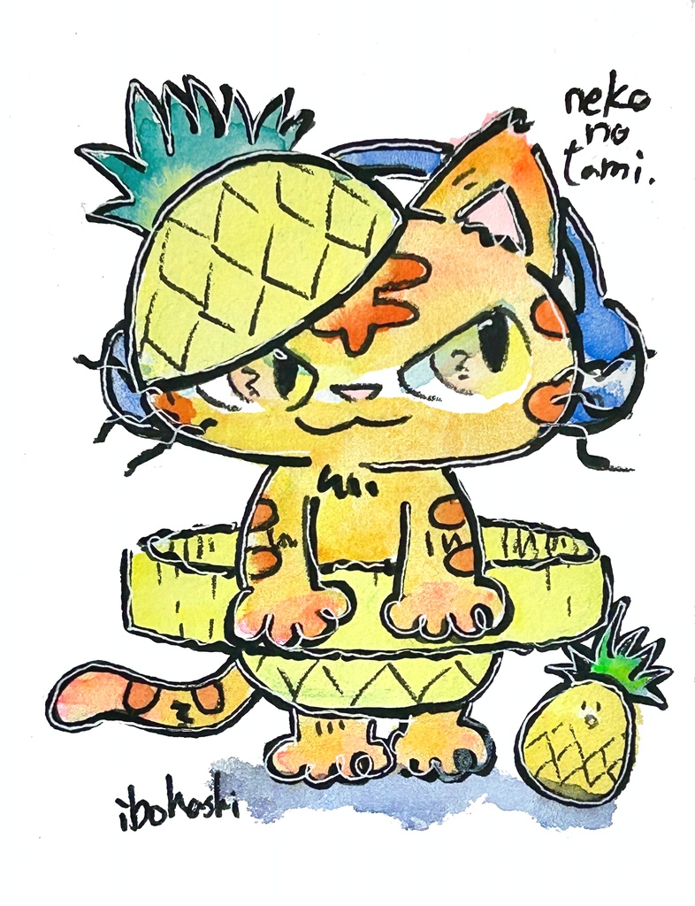 ねこのたみ夏休み福袋(とらねこ)
