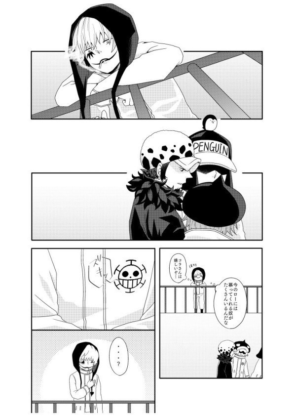 FORELSKET【ローコラ】