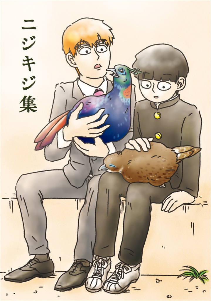 ニジキジ集