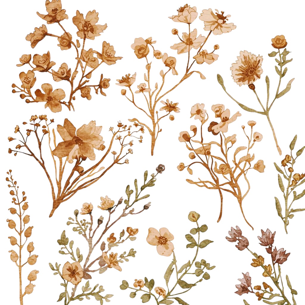 Timeless Florals – バラとラベンダーのやさしい水彩フローラル素材集(通年版)