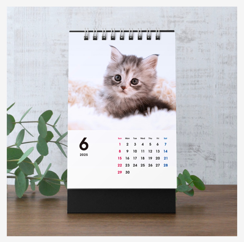 【おすすめ♥️】2025カレンダー+デジタル写真集セット予約