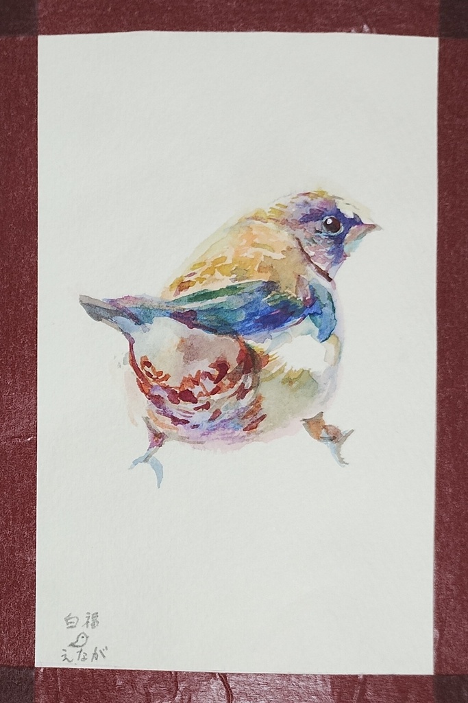 振り向き小鳥の原画