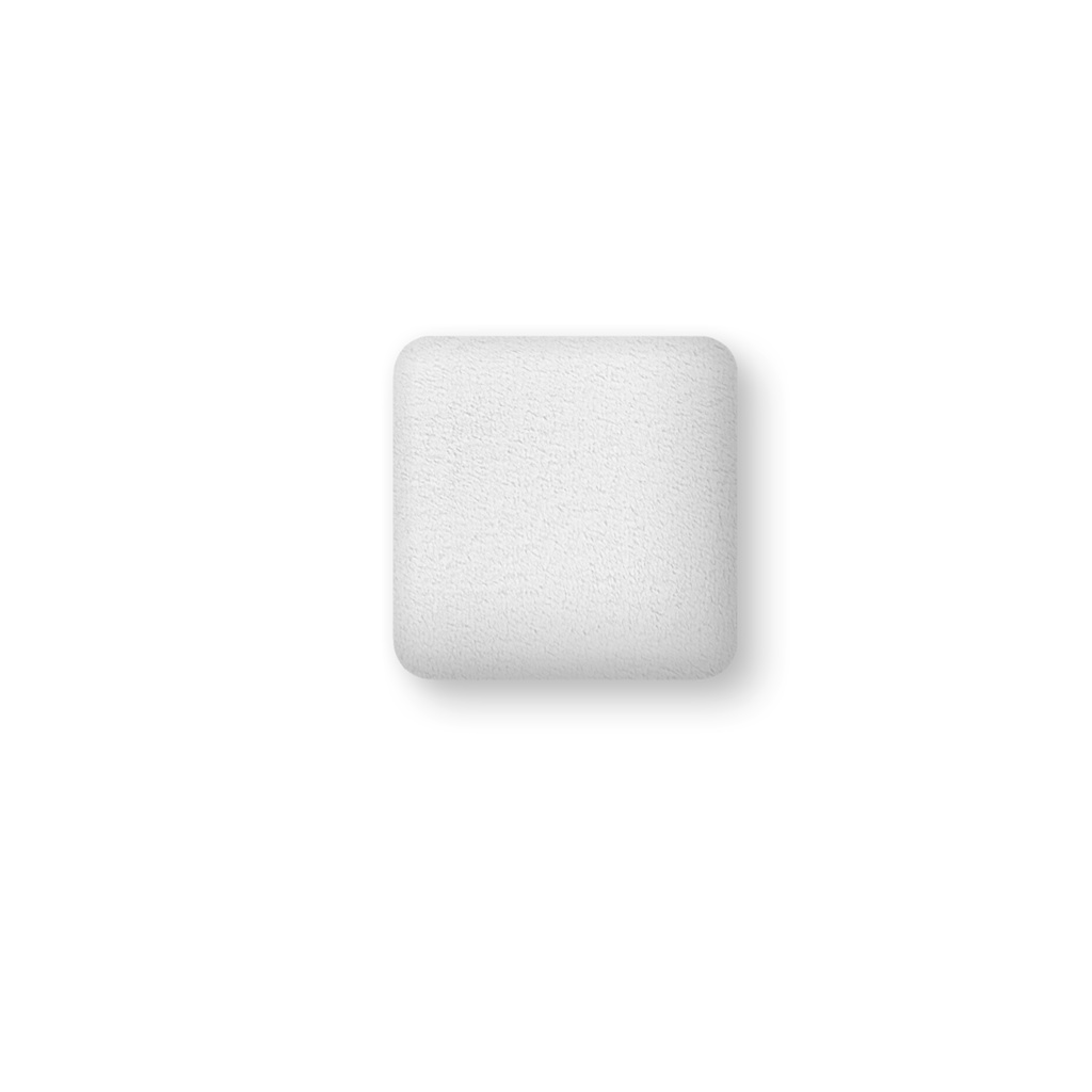 ガォー!のクッション