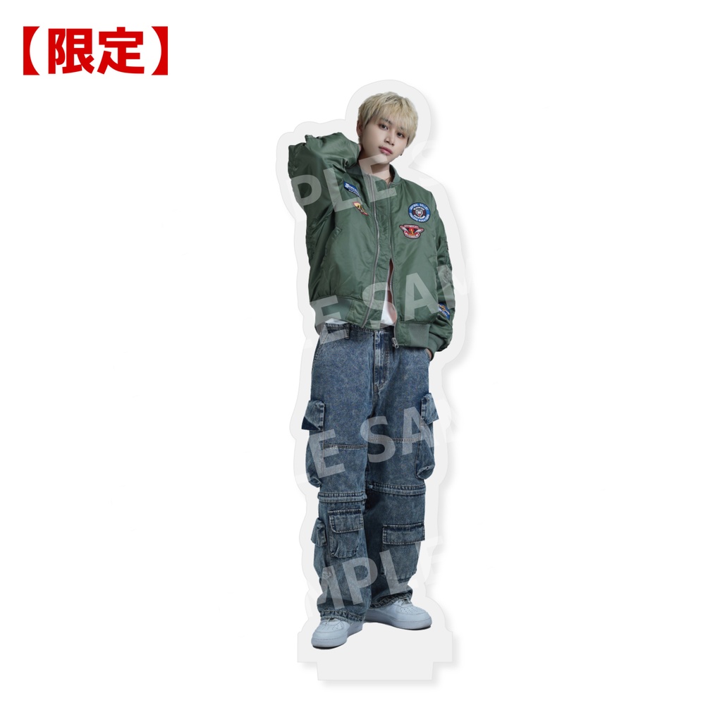 ミニアクスタ【TAIGA】