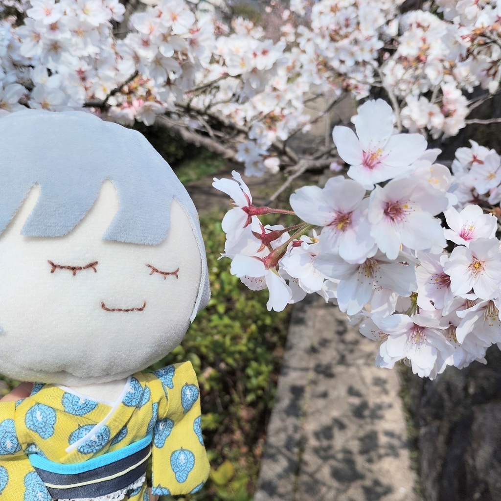 【16㎝用 ぬいきもの】 爽やかレモン