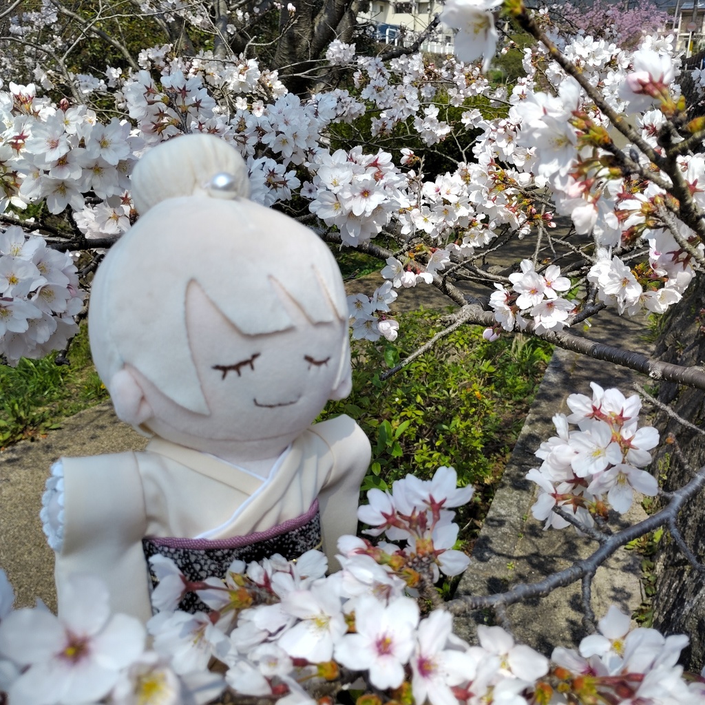 【20㎝用 ぬいきもの】 真珠絹きなり