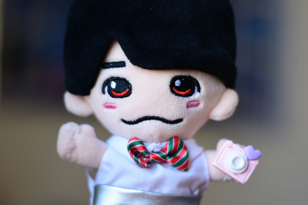 📸ちびぬい用 手持ちカメラ📸