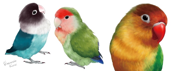 ラブバードマグカップ