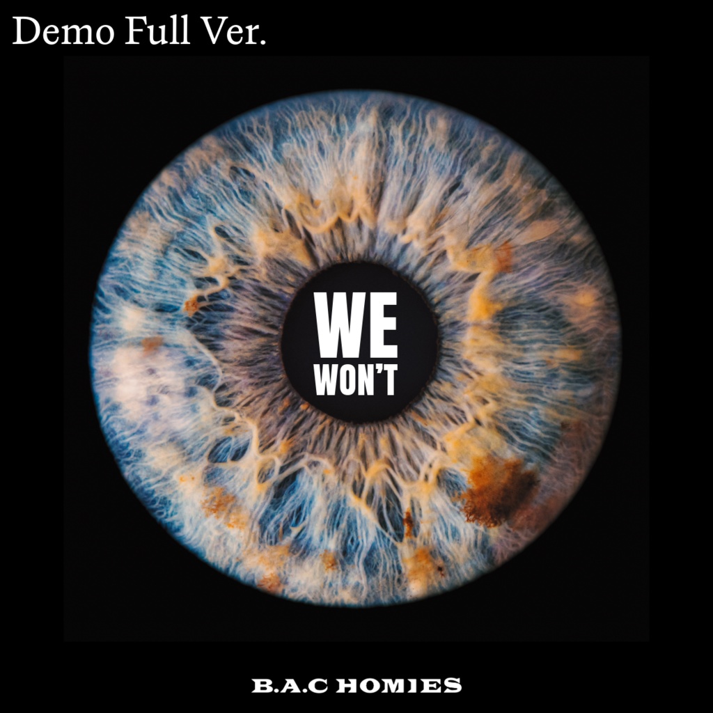 WE WON'T Demo Full Ver.