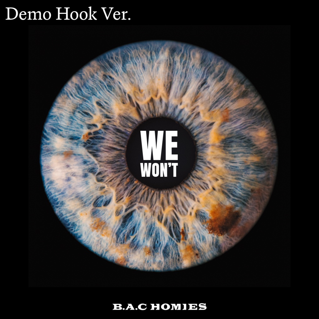 WE WON'T Demo Hook Ver.