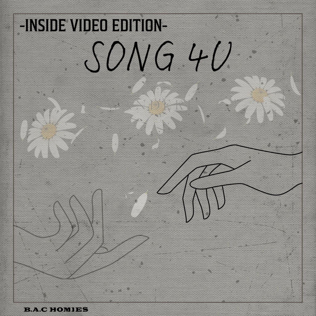 限定販売終了SONG 4U -INSIDE VIDEO EDITION-(限定５部）
