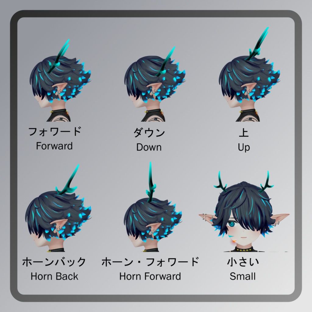 満杯 角 パック - Full Horn Pack