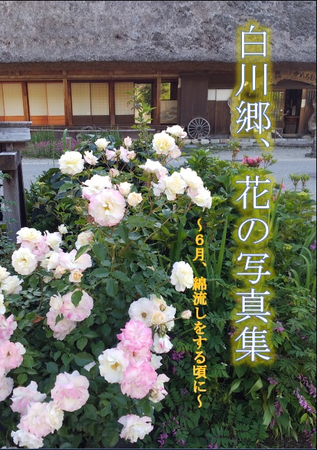 【電子版】白川郷、花の写真集～６月、綿流しをする頃に～