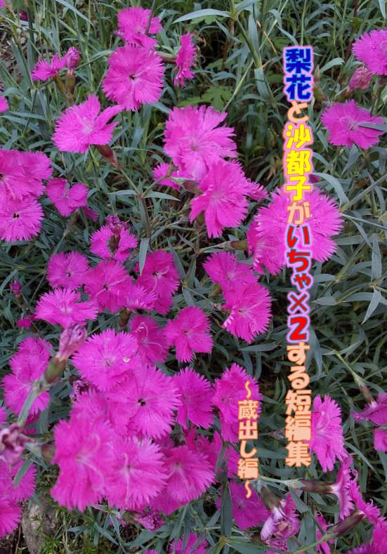 梨花と沙都子がいちゃいちゃする短編集　～蔵出し編～