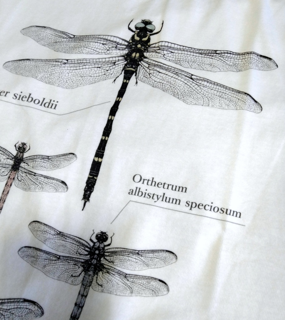 メガヤンマ編隊Tシャツ