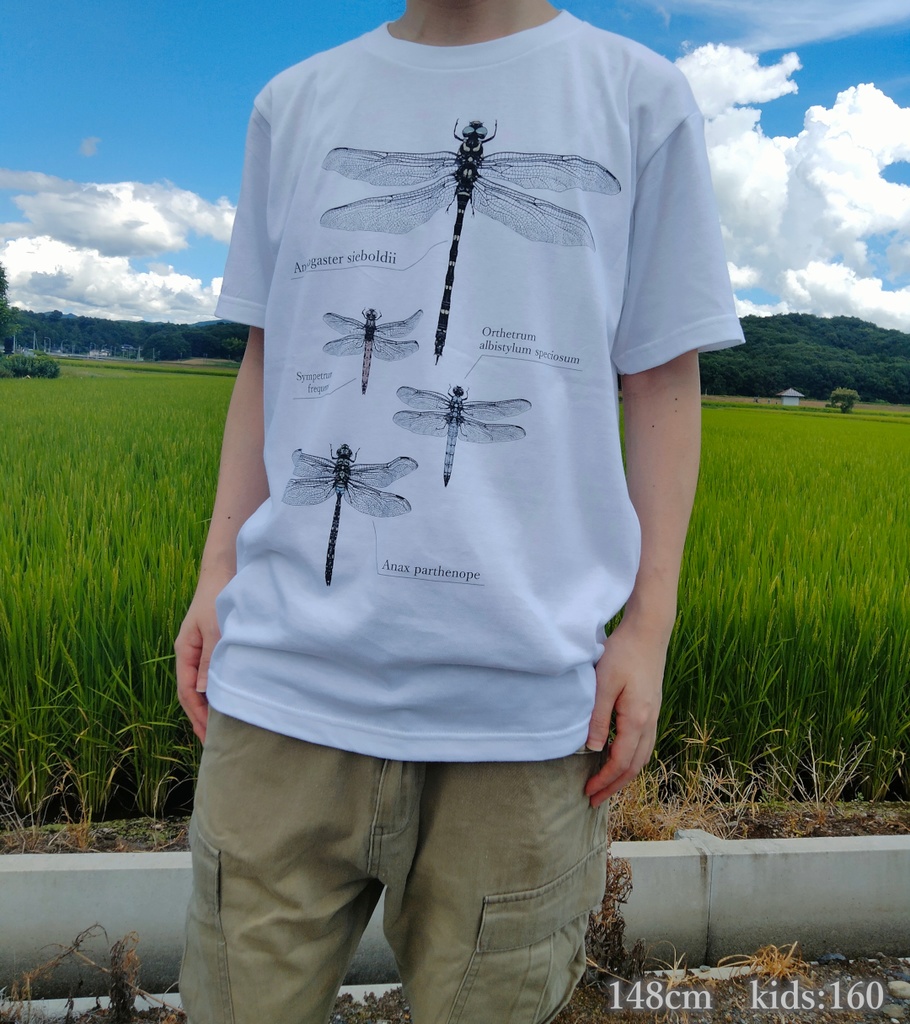 メガヤンマ編隊Tシャツ