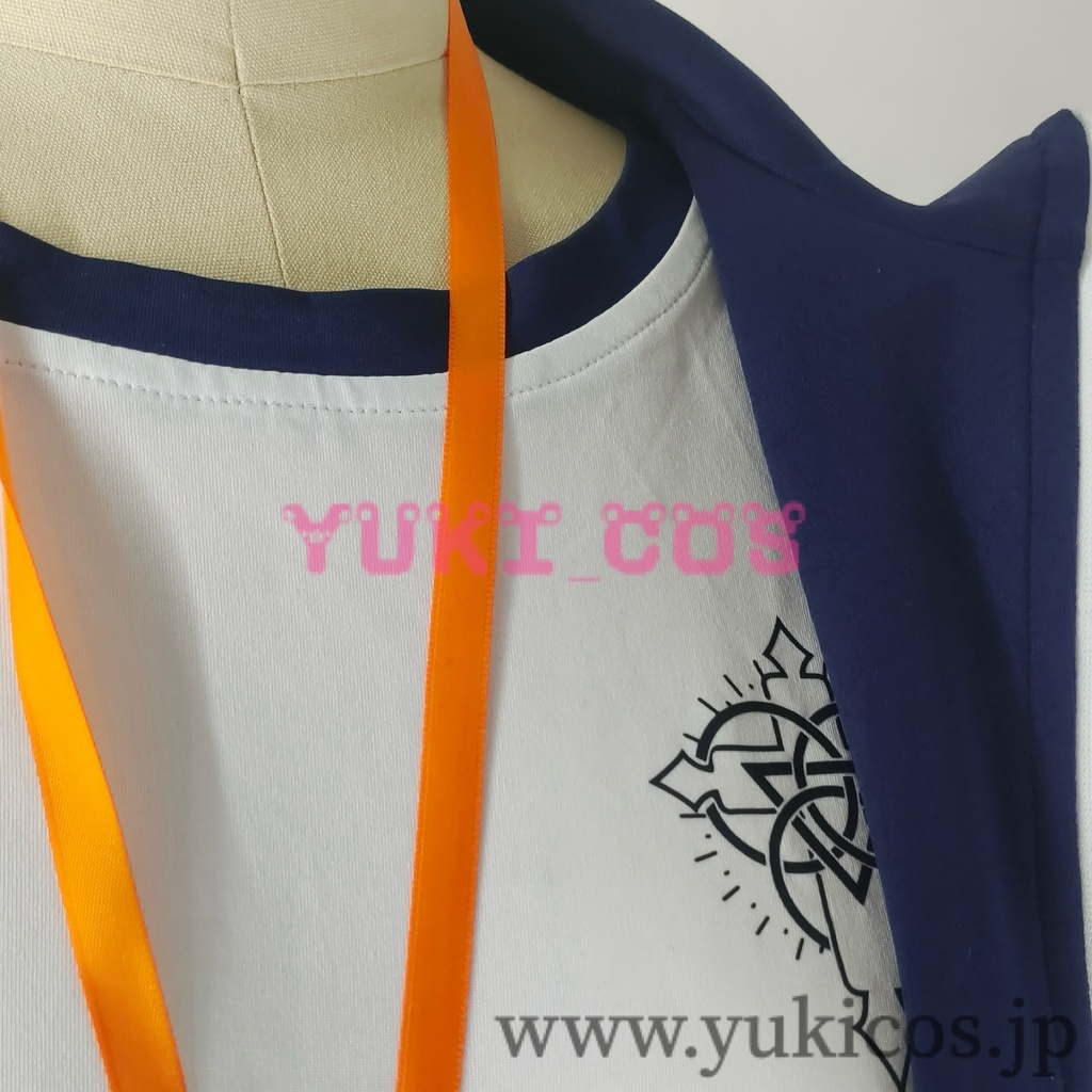 ブルーアーカイブ ブルアカ 桐藤ナギサ 聖園ミカ 柚鳥ナツ 白洲アズサ 体操服 コスプレ衣装 送料無料