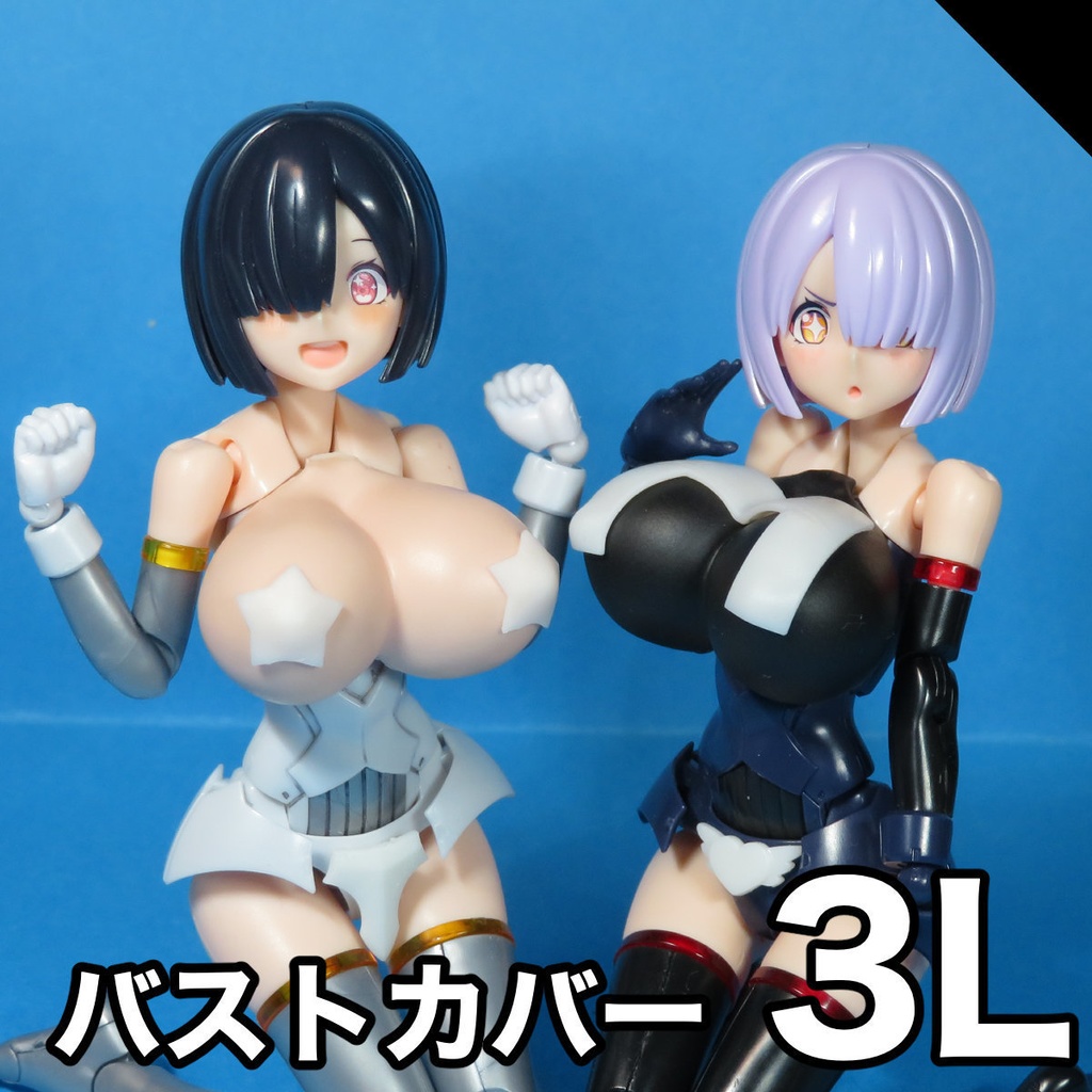 バストカバー3L