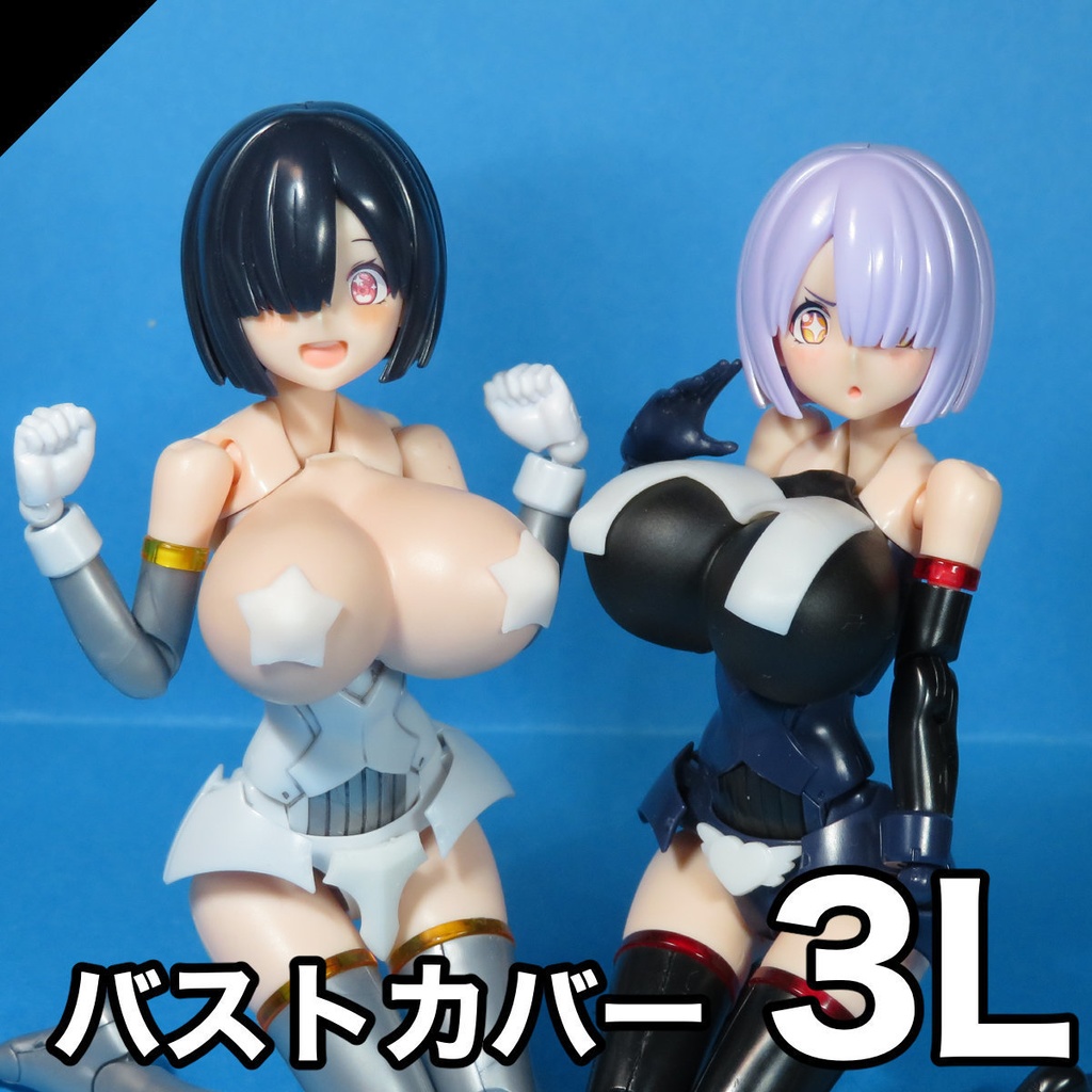 バストカバー3L