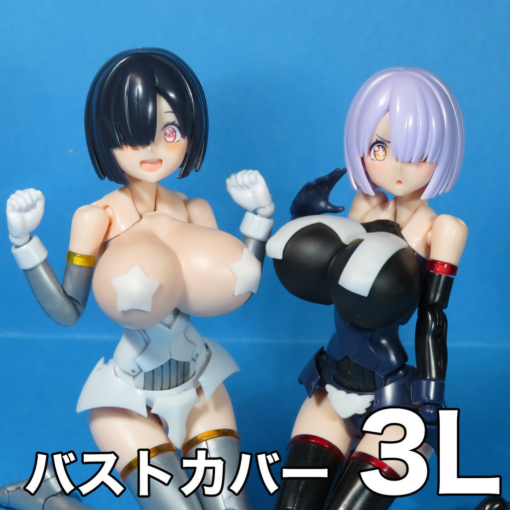 バストカバー3L