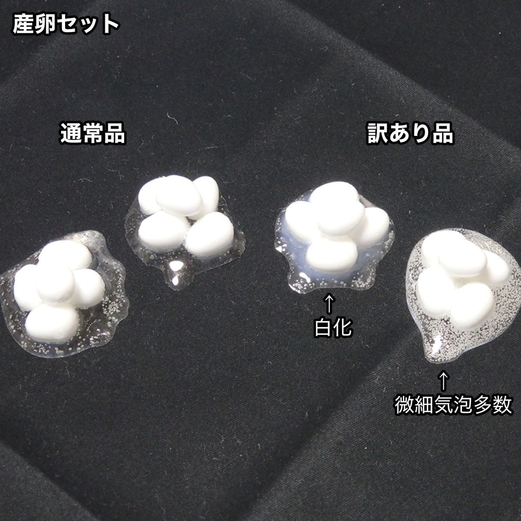 卵関連アイテム