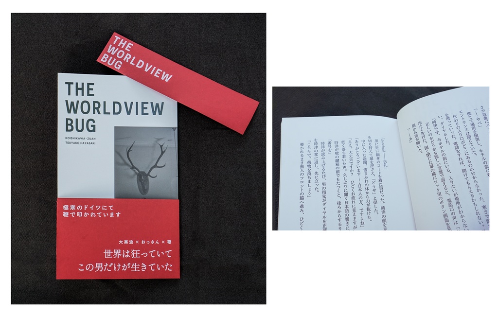 THE WORLDVIEW BUG 極寒のドイツにて鞭で叩かれています