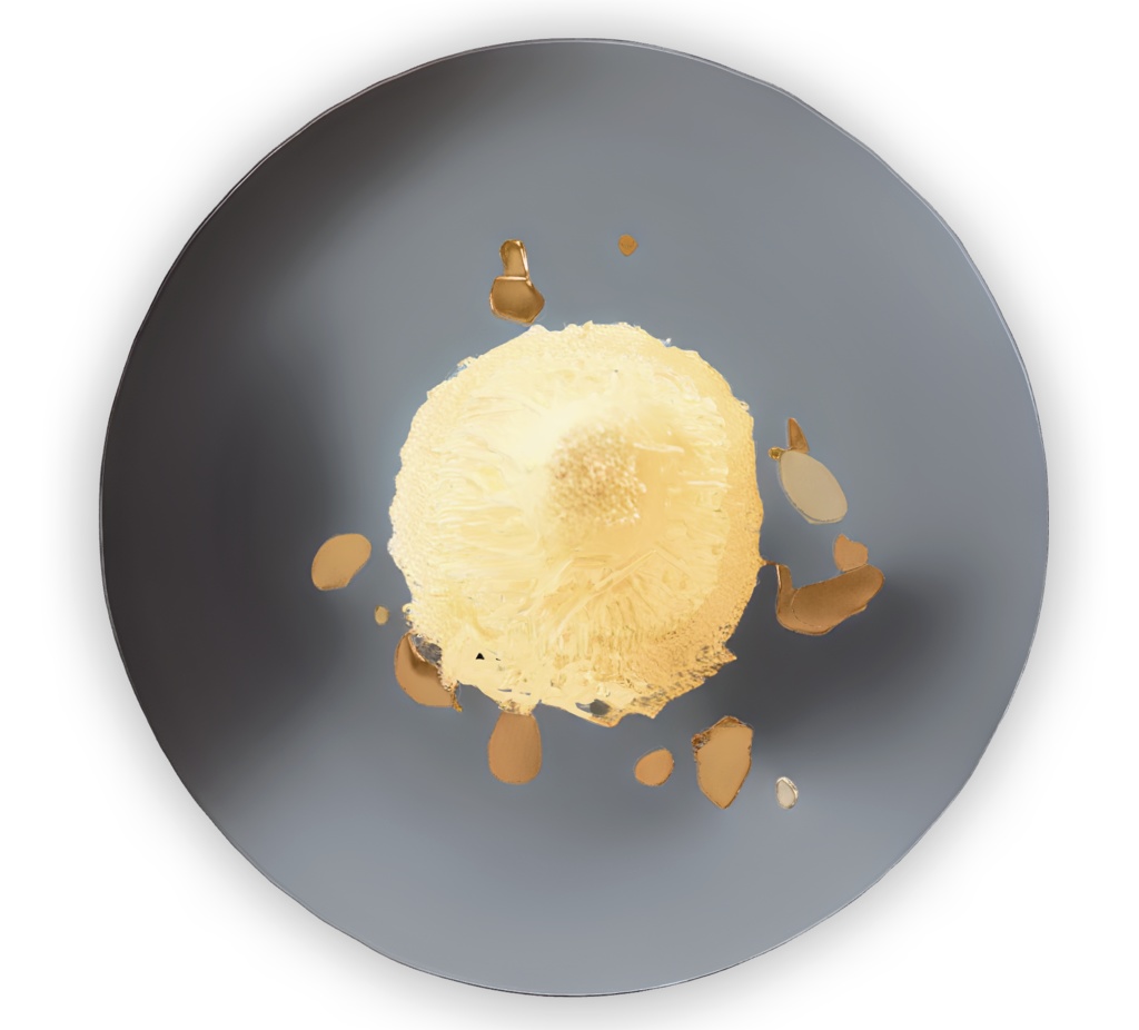 🍂 Autumn Café Collection vol.1|モンブランとラテ(3Dモデル・GLB)