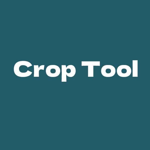 【After Effects スクリプト】Crop Tool