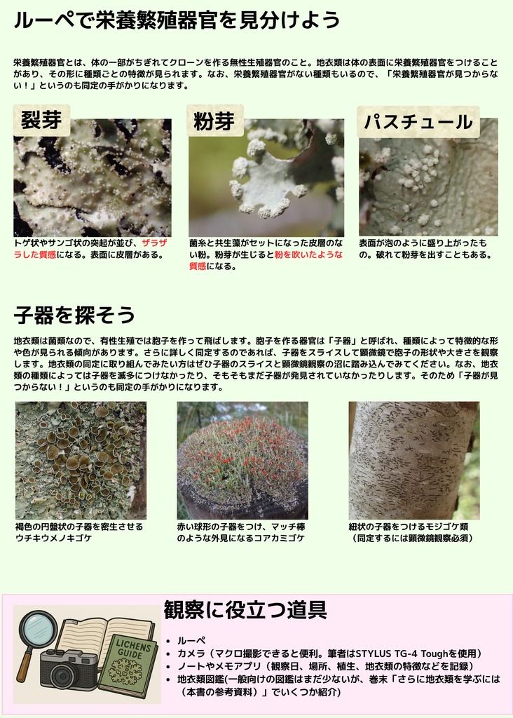 地衣類の歩き方 新穂高ロープウェイ 鍋平高原