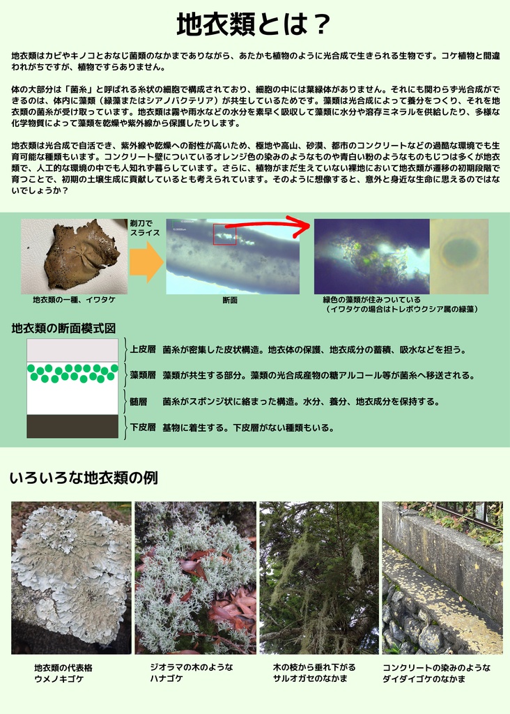 地衣類の歩き方 新穂高ロープウェイ 鍋平高原