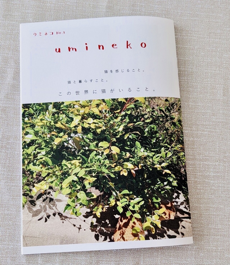 小雑誌「umineko」ウミネコNo.1