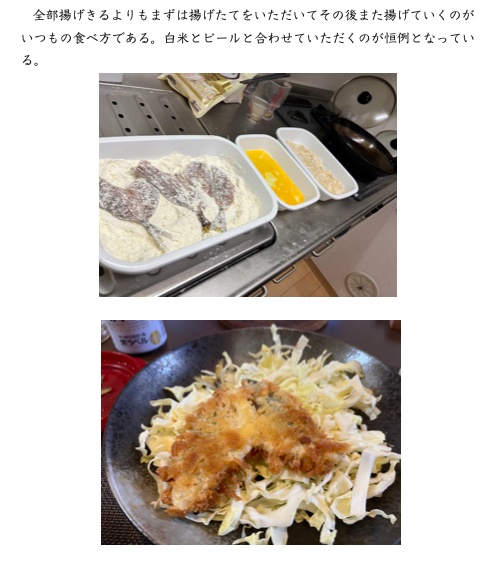 入門自炊~自炊における問題ケースと解決方法を考察したエッセイ集(紙本通販版)