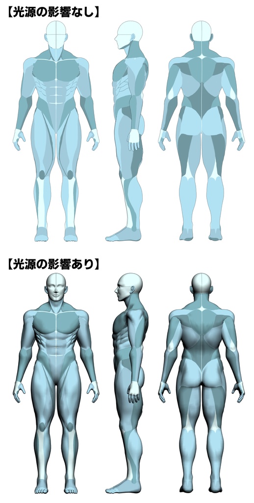 【クリスタ3D素材】筋肉男性素体