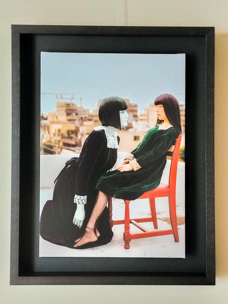 「ニンギョウモドキ」掲載写真 キャンバスプリント