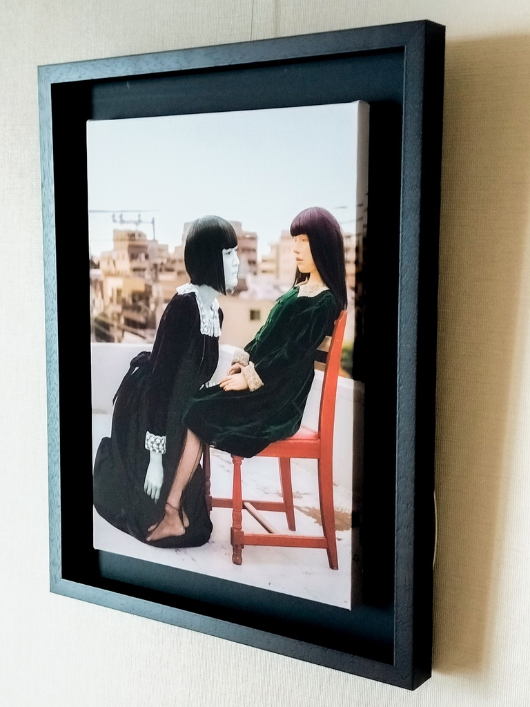 「ニンギョウモドキ」掲載写真　キャンバスプリント