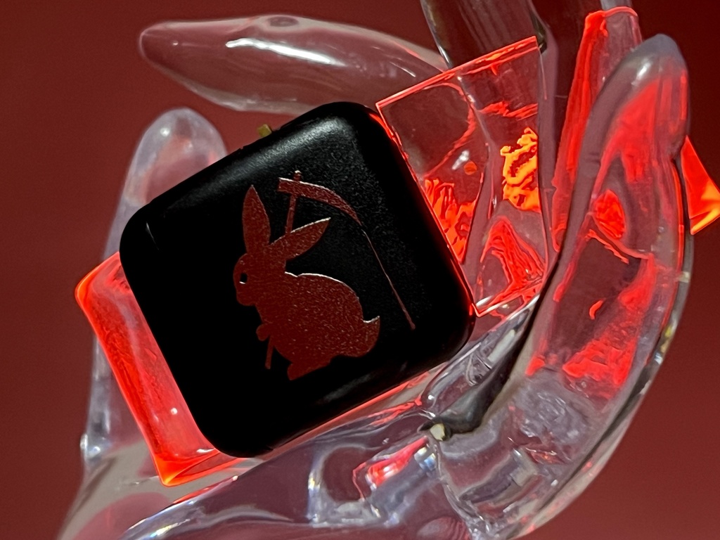 Dark Märchen LEDライトブレスレット(初回ロット限定)