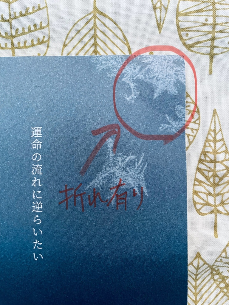 【訳アリ品】薄氷と接吻 I 残光編