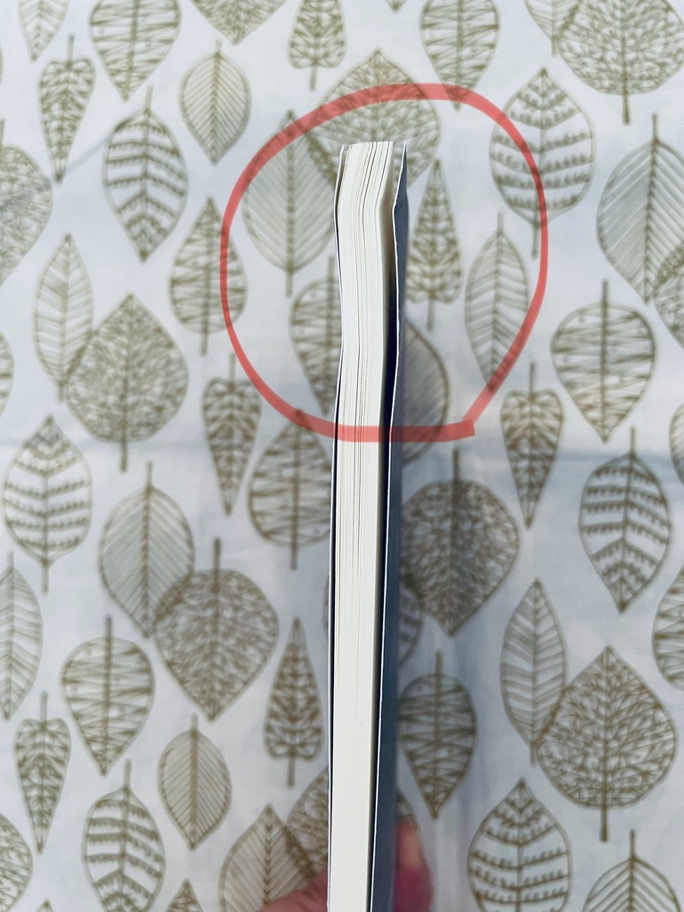 【訳アリ品】薄氷と接吻 I 残光編