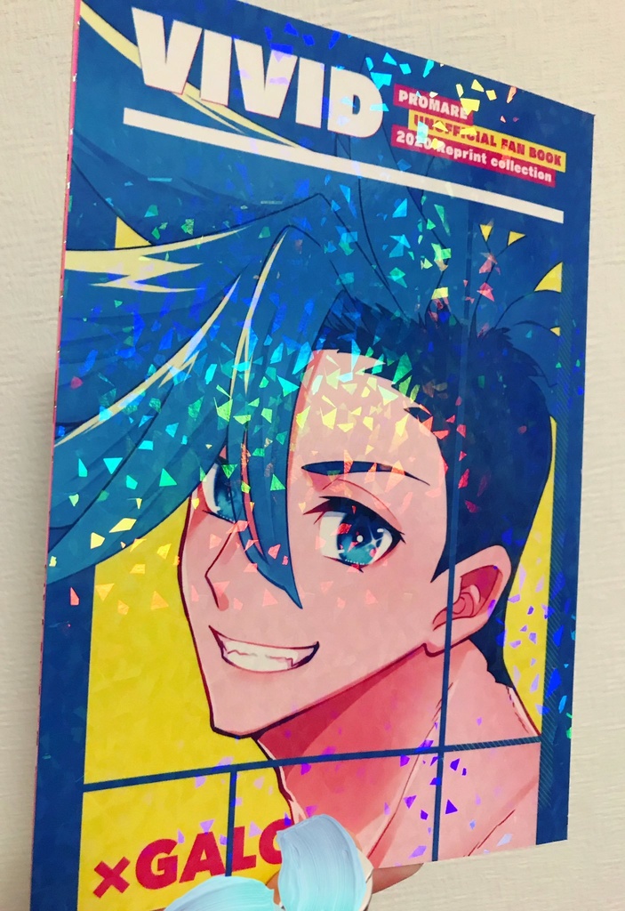 フルカラーイラスト再録本「ViViD」