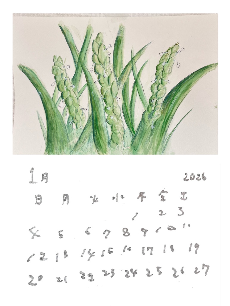 お米と農家さんの1年カレンダー